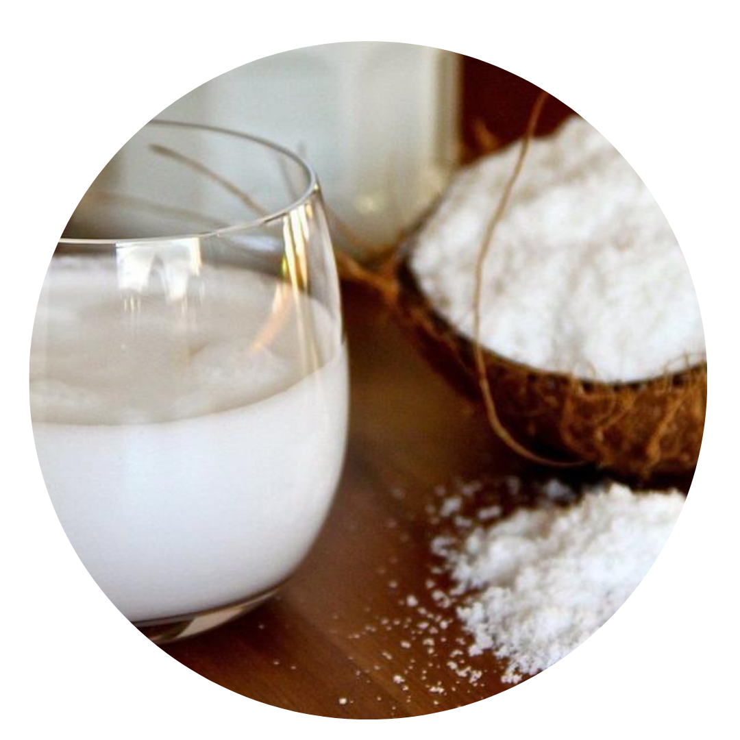 coconut-milk-powder-gf-vegan-philippines